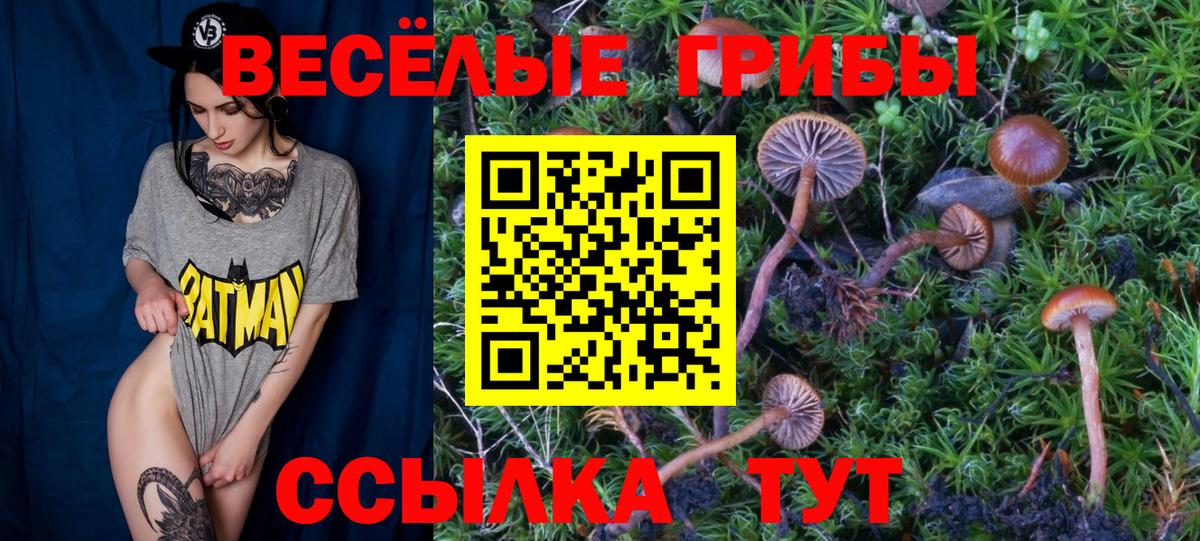 Галлюциногенные грибы Magic Shrooms Сосновый Бор