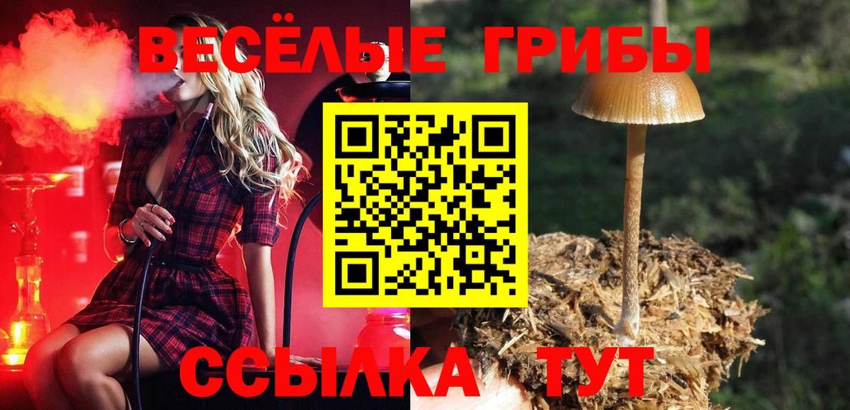 Псилоцибиновые грибы мухоморы  Вход с VPN  Сосновый Бор 